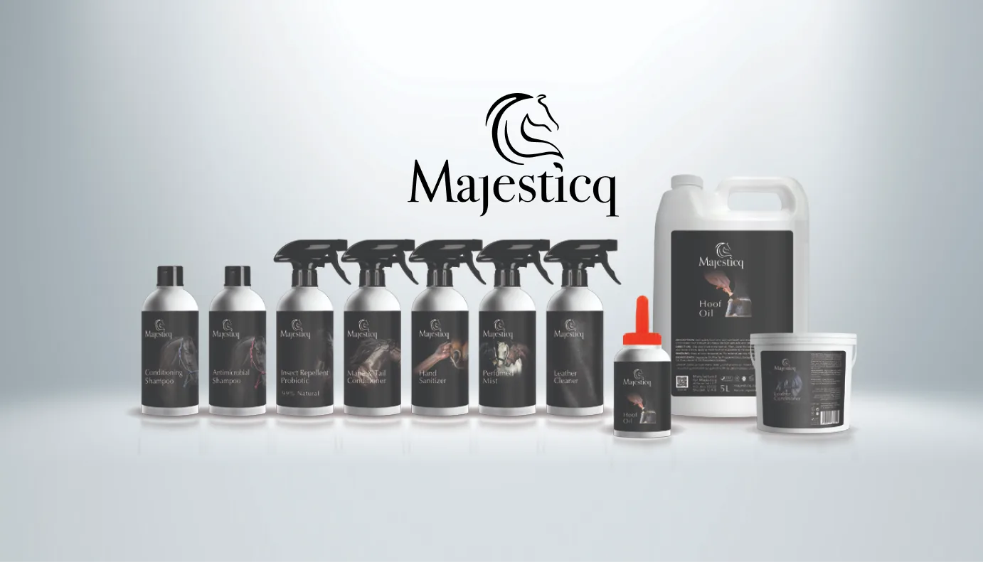 MajesticQ Brand & Product case study thumbnail