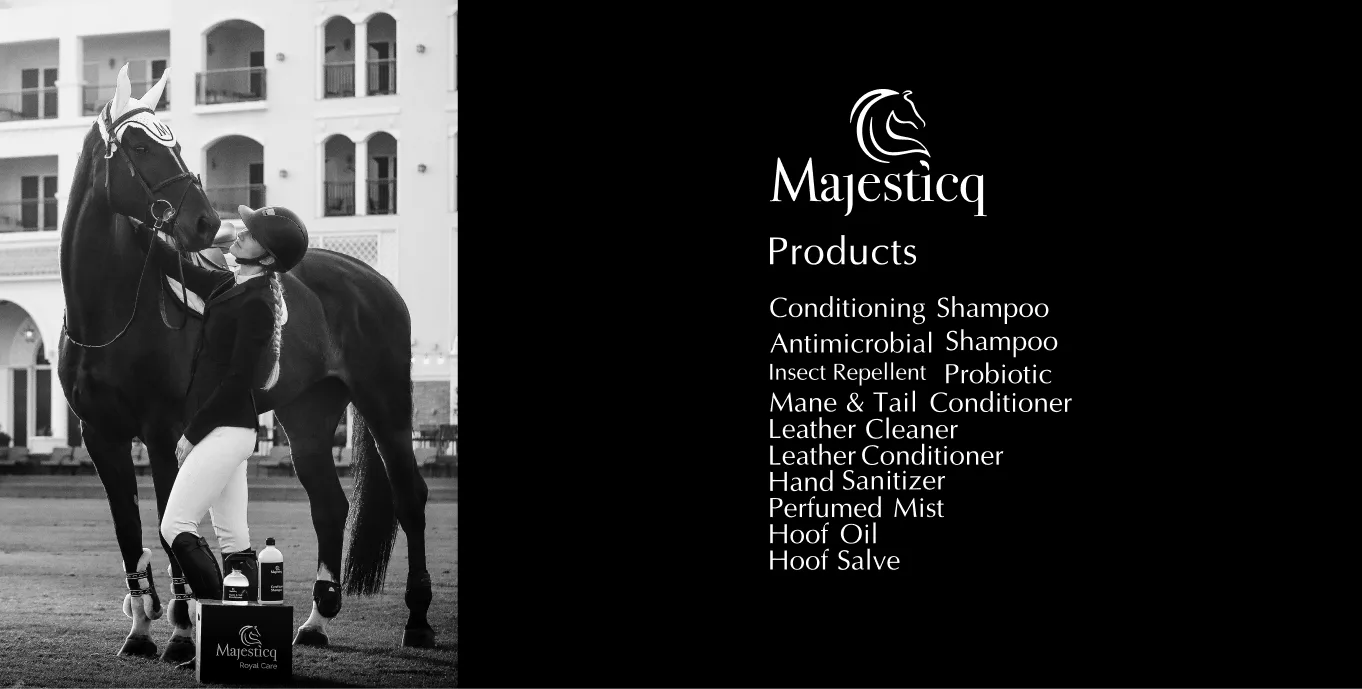 MajesticQ Brand & Product - Product line image 2